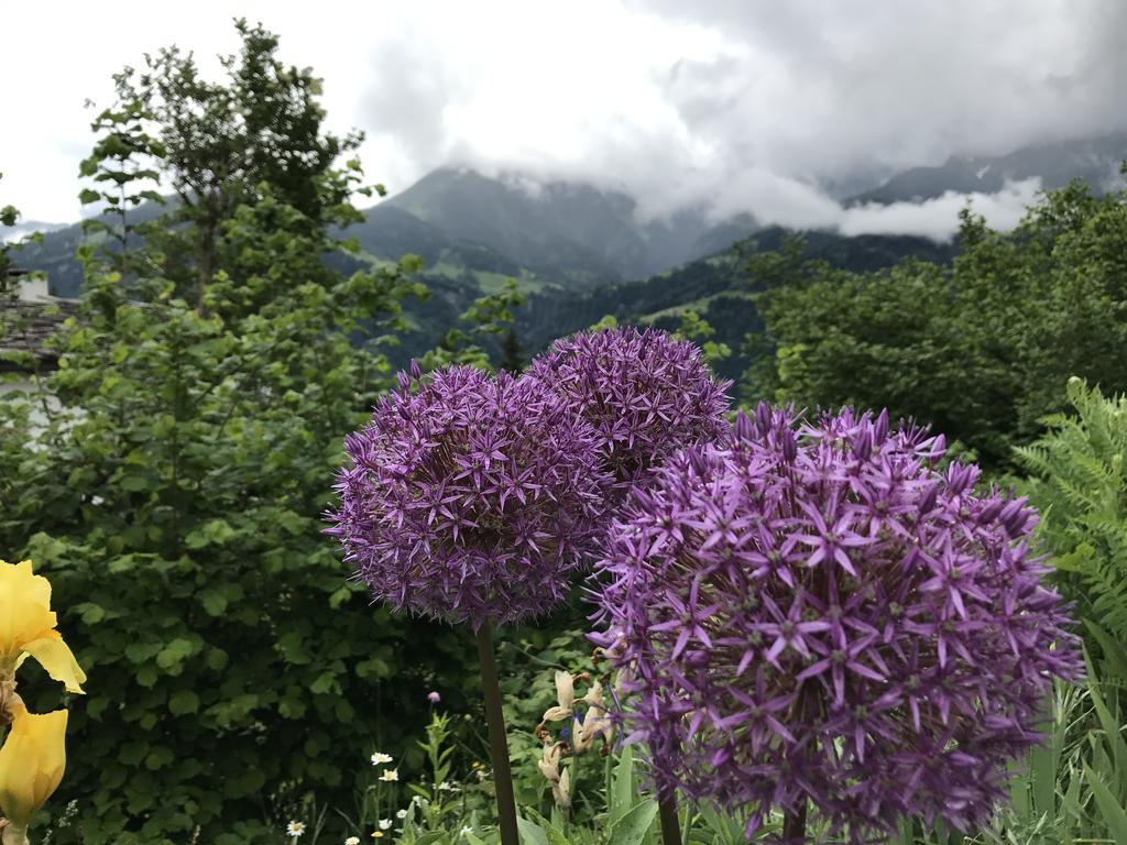 Ferienwohnung Laax mit Traumblick, großem Balkon und Terrasse Exterior foto